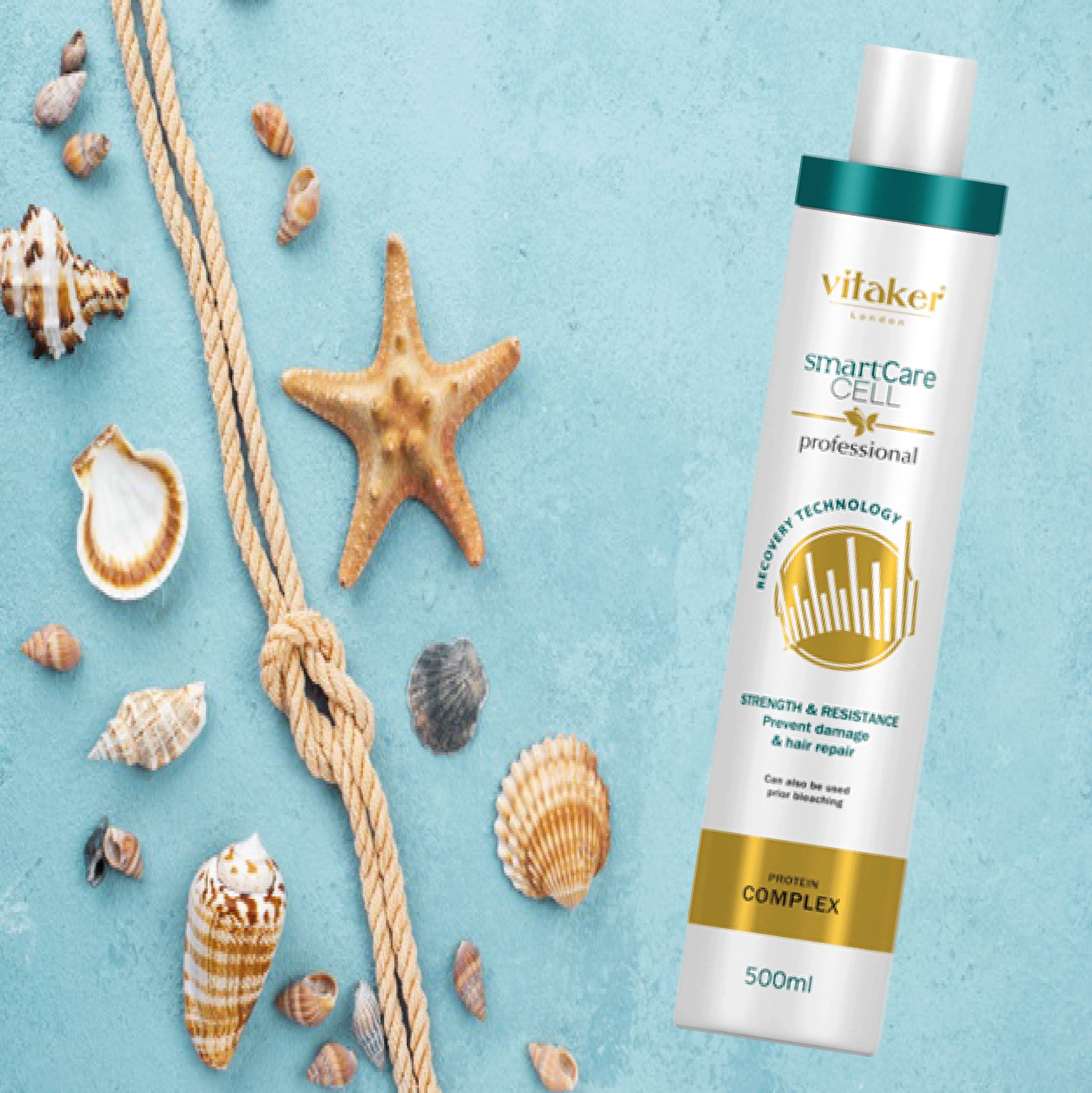 CELL Protein komplex